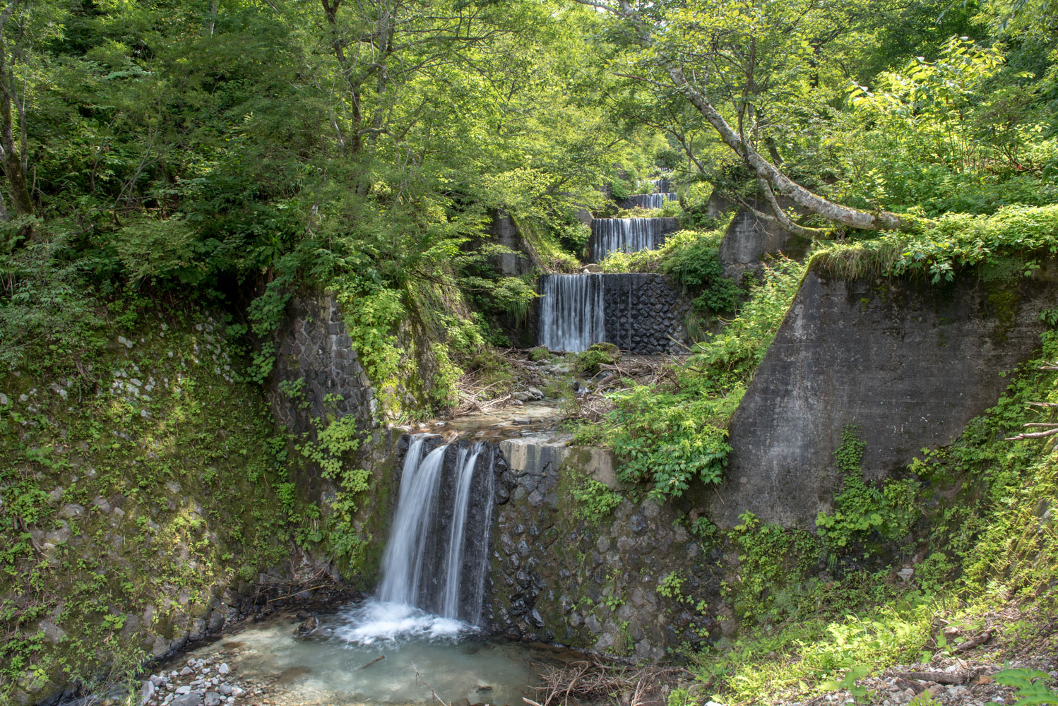 区分：⑥飛騨山脈 ドボ博 川展