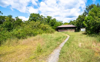 19_08_13-OT1_3610（ドボ博中部）