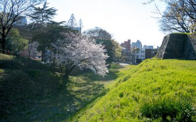 ドボ博サンプル19_04_04-6323 ドボ博サンプル19_04_04-6323