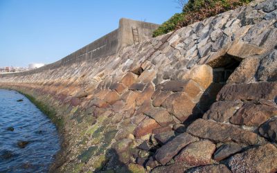 ドボ博サンプル19_03_14-3112 ドボ博サンプル19_03_14-3112