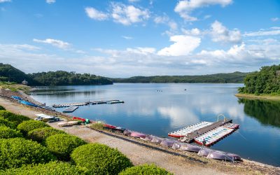 19_08_13-OT1_3640(ドボ博中部) 19_08_13-OT1_3640(ドボ博中部)