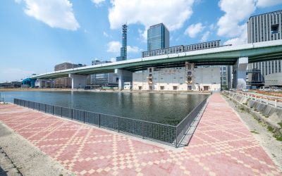 19_04_04-OT1_6182(ドボ博中部) 19_04_04-OT1_6182(ドボ博中部)