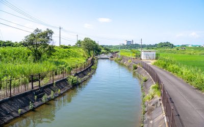 19_07_24-OT1_8505(ドボ博中部) 19_07_24-OT1_8505(ドボ博中部)