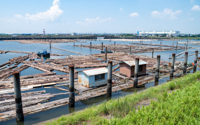 19_07_31-OT1_9708（ドボ博中部）