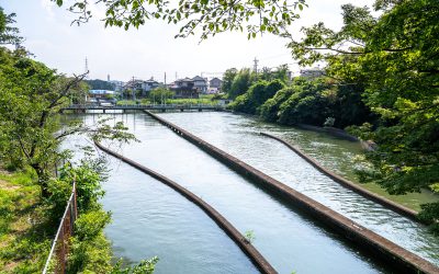 19_07_24-OT1_8686（ドボ博中部）