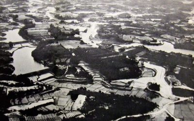 column-202011-02_2 column-202011-02_2